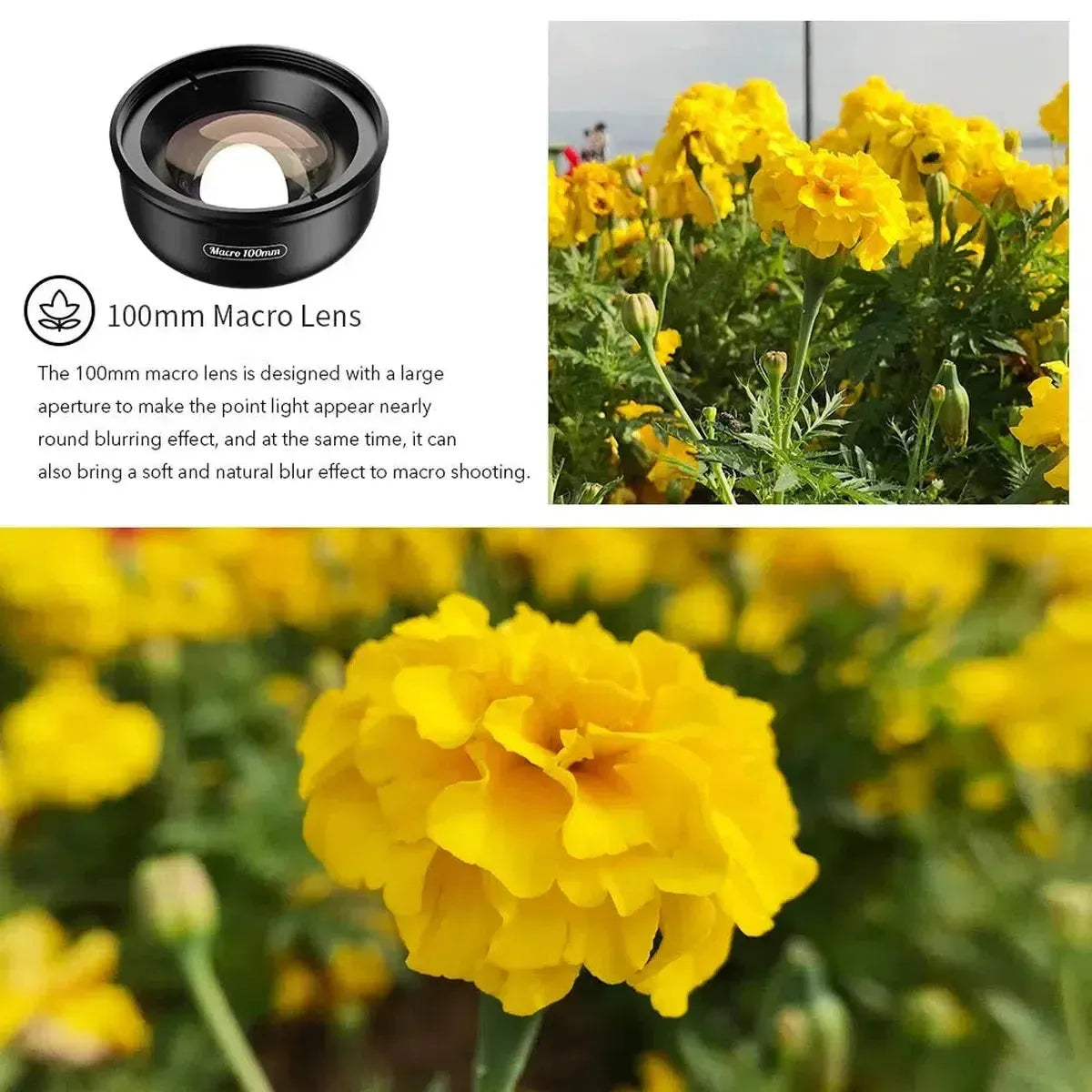 100MM MACRO LENS